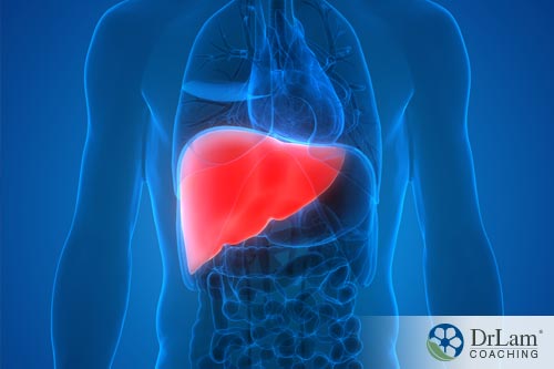 Liver congestion, alcohol and adrenal fatigue/