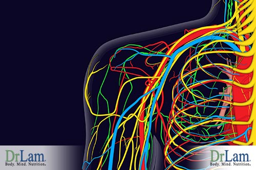 inflammation pathways and natural inflammation remedies