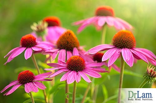natural inflammation remedies, including supplements
