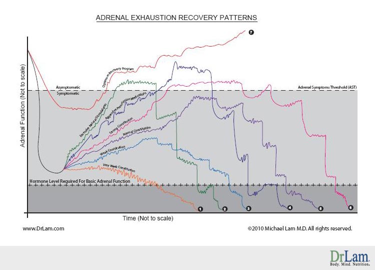 Adrenal exhaustion, stage 3c of adrenal fatigue, and their recovery possibilities after a crash