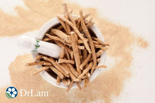 Dried ashwagandha roots in a bowl