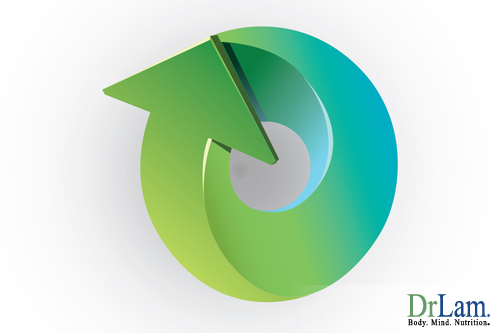 The body's feedback loops are affected by Adrenal Fatigue