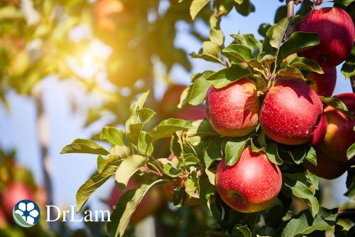 An image of apples