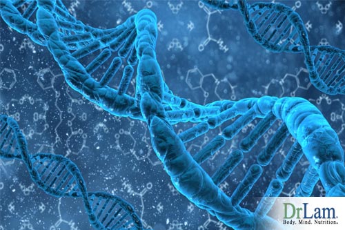 MTHFR could be the reason for many illnesses in your body