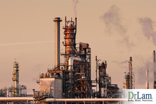 A smokestack contributes to environmental toxins that fulvic acid benefits fight inside your body