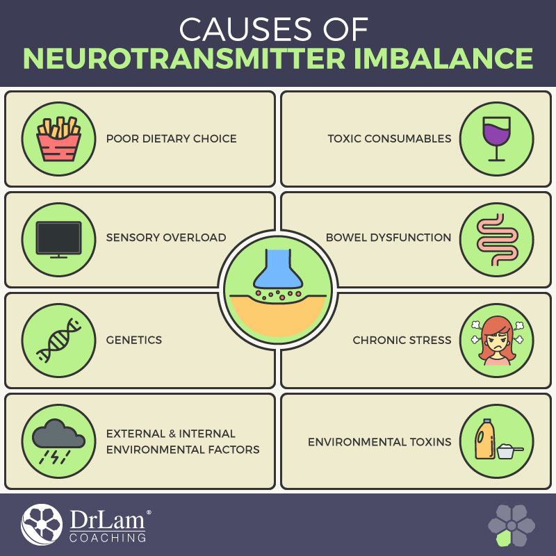 Causes of Neurotransmitter Imbalance Check out this easy to understand infographic about the causes of neurotransmitter imbalance