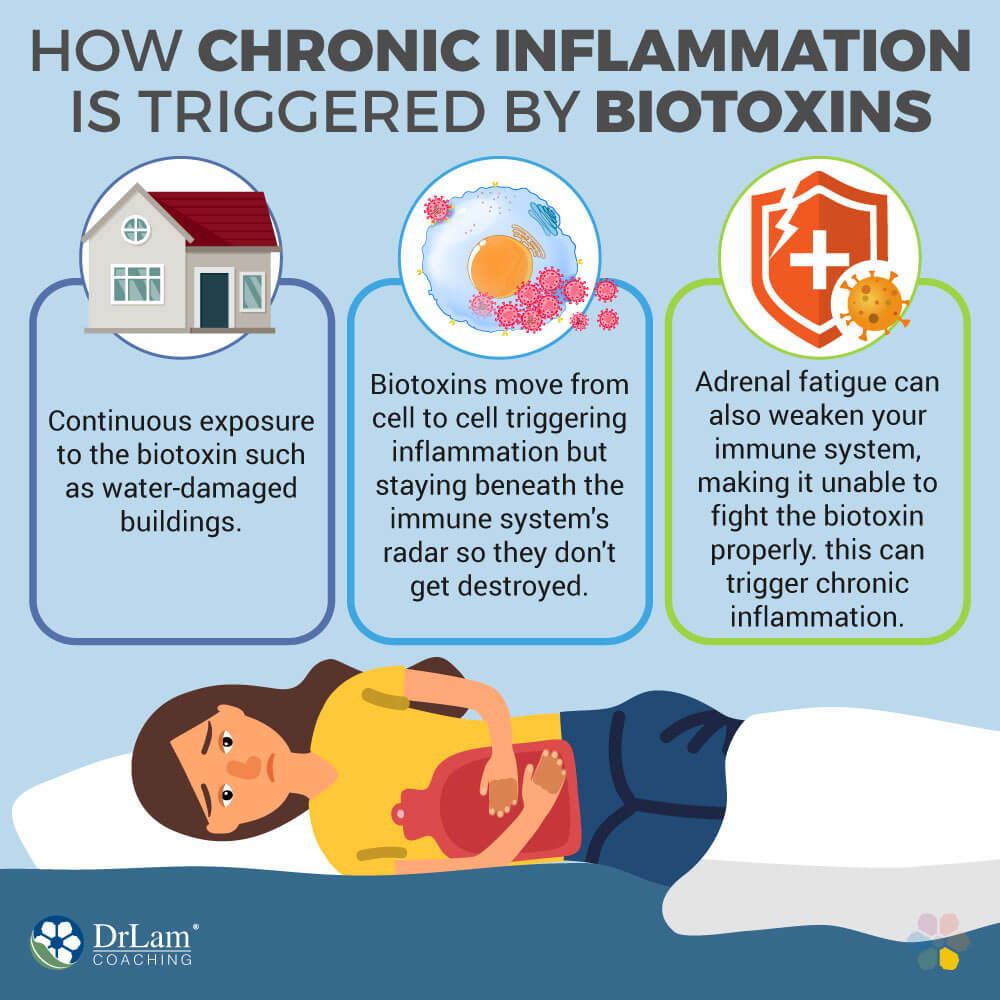 How Chronic Inflammation Is Triggered by Biotoxins