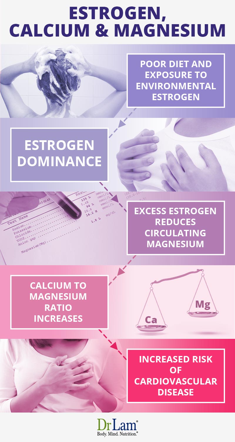 Magnesium, Estrogen and Calcium Check out this easy to understand infographic about magnesium, estrogen and calcium