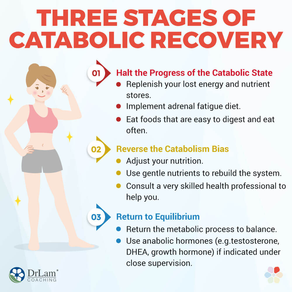 Three Stages of Catabolic Recovery Three Stages of Catabolic Recovery
