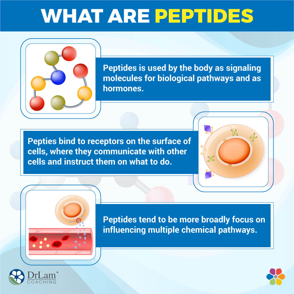 What are Peptides What are Peptides