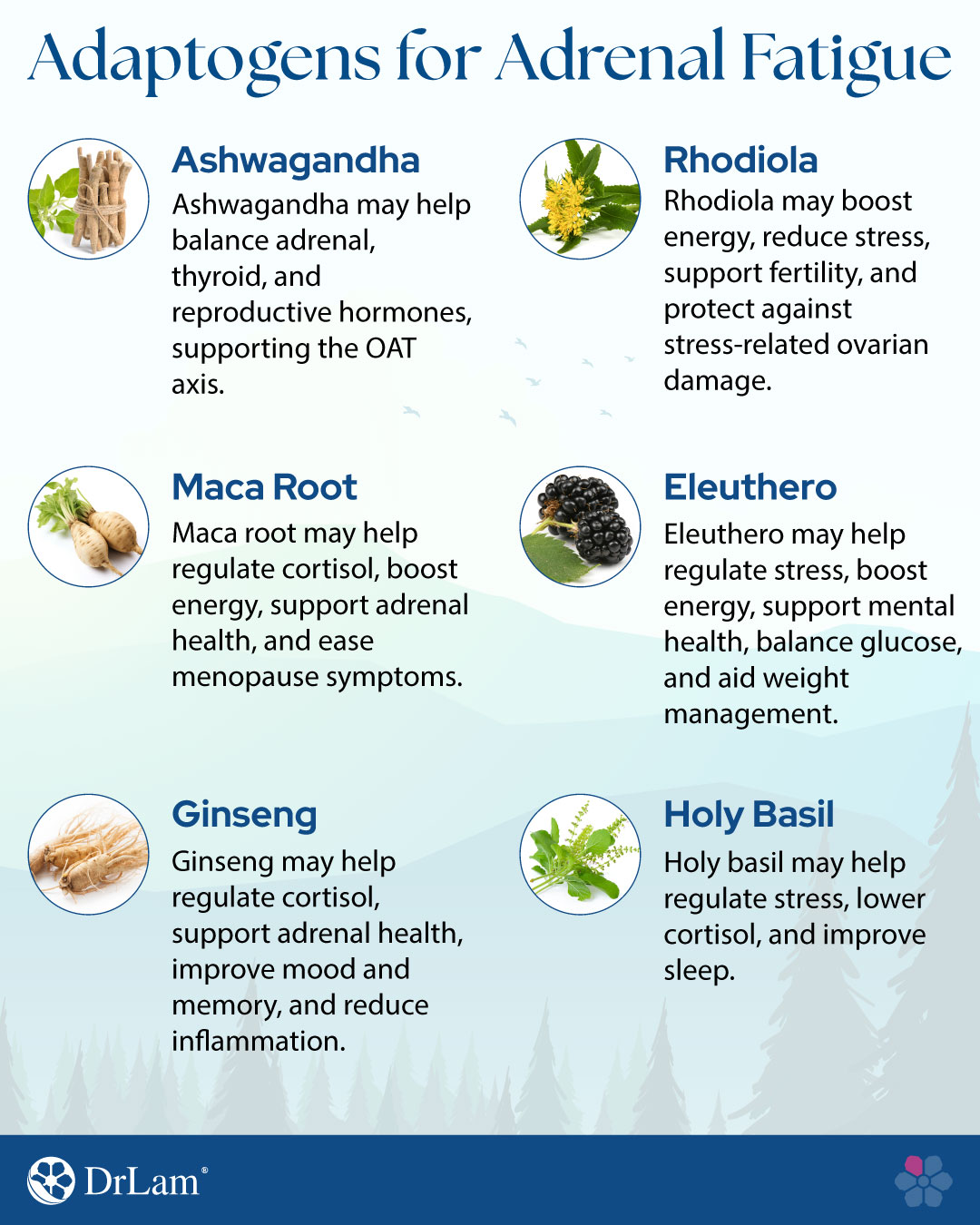 Adaptogens for Adrenal Fatigue Adaptogens for Adrenal Fatigue