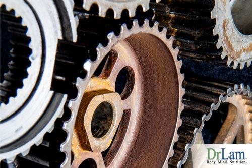 Does Adrenal Fatigue have hold of your body's inner workings?
