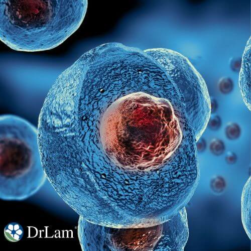 An image of stem cells
