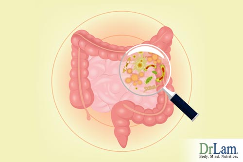 Candida in the intestines with Chronic Fatigue symptoms