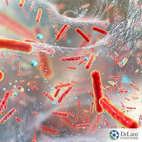 An image of bacteria and infection