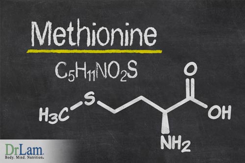 methionine estrogen hormone 1781 9
