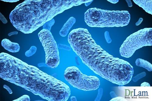 A look under a microscope for Post Viral Fatigue