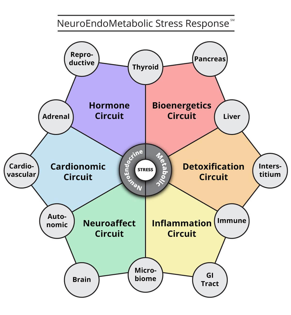 Your immune system is designed ot handle mild chronic inflammation When your immune sytem fails it can lead to chronic Inflammation
