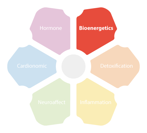 NEM Bioenergetics Circuit