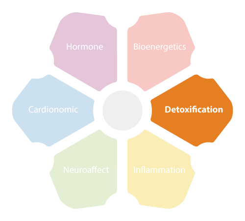 NEM Detoxification Circuit