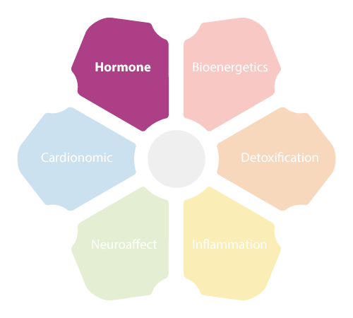 NEM Hormone Circuit