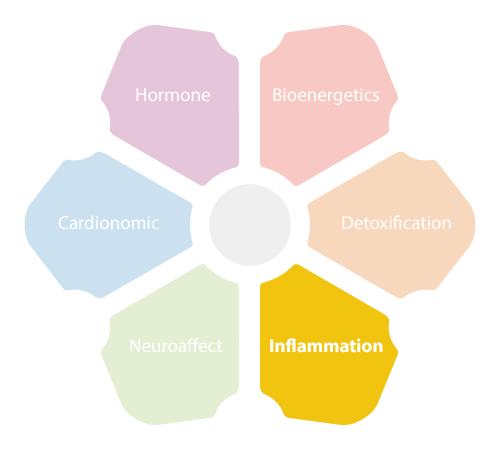 NEM Inflammation Circuit