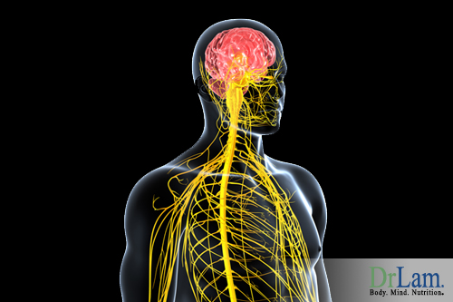 Adrenal Fatigue is related to nervous system disruption