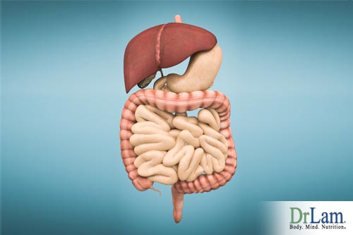 Collagen structures can be broken down in a body affected by Adrenal Fatigue