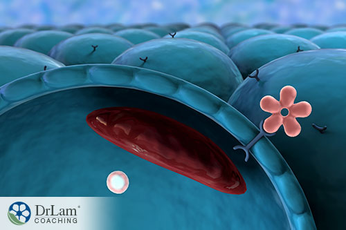 An image showing a microscopic view of a integrin receiving information