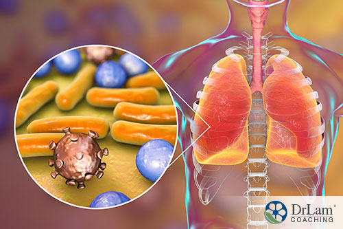 An image of a person's lungs with a enhanced view of an infection
