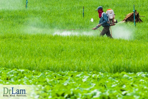 pesticides estrogen hormone 1781 4