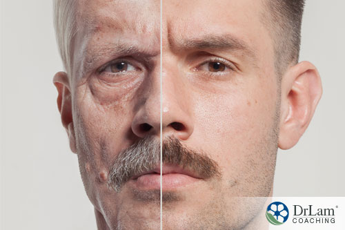 The thymus gland and aging An image of a mans face, half is aged and the other is young. Could the thymus gland affect aging?