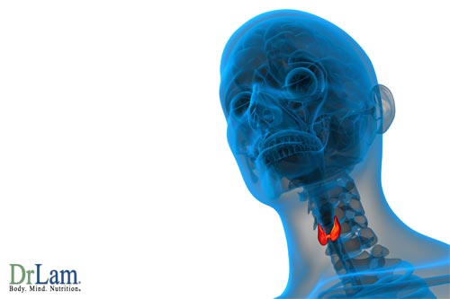 Thyroid Location for Hypothyroidism