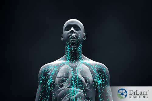 An image of the human body detoxing