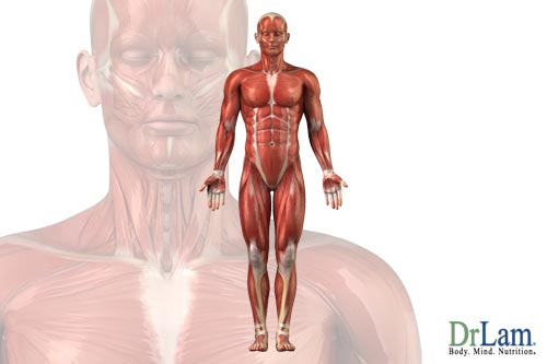 Your whole body is affected by adrenal fatigue/